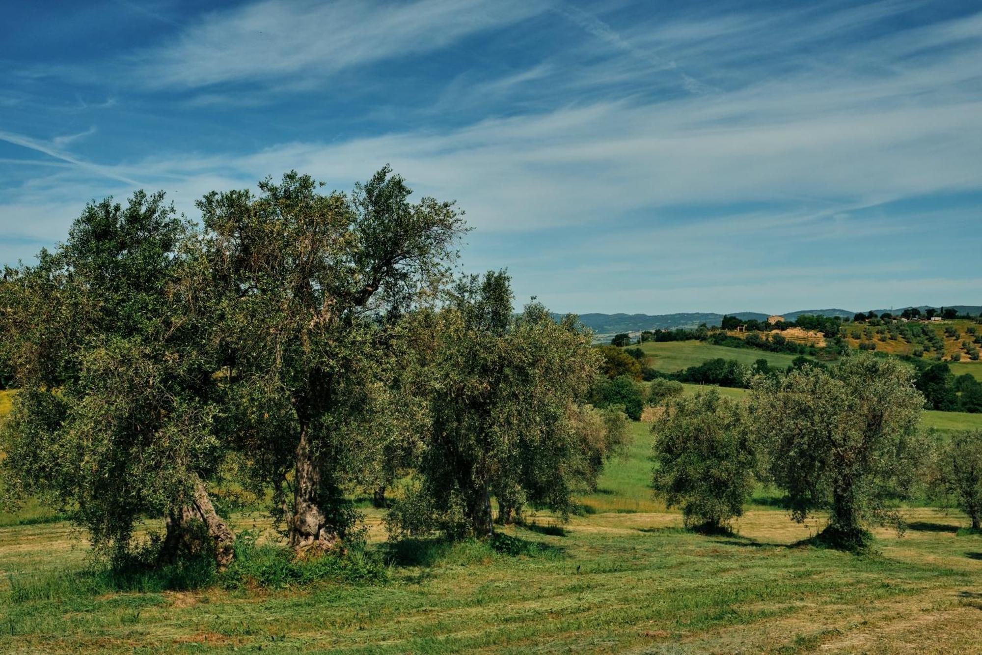 8380 Agriturismo Il Saragiolo Manciano Luaran gambar