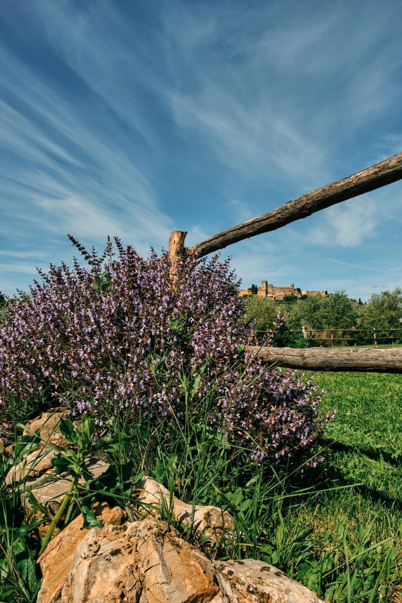 8380 Agriturismo Il Saragiolo Manciano Luaran gambar