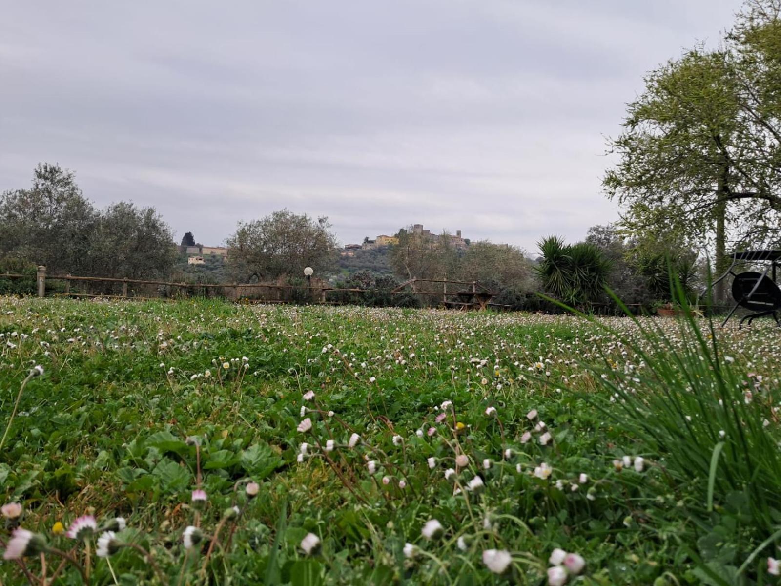 8380 Agriturismo Il Saragiolo Manciano Luaran gambar