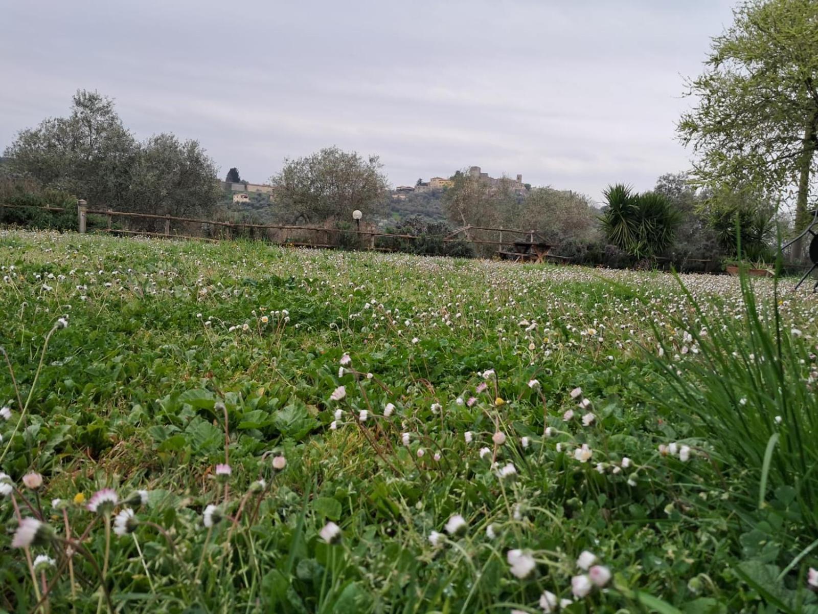 8380 Agriturismo Il Saragiolo Manciano Luaran gambar